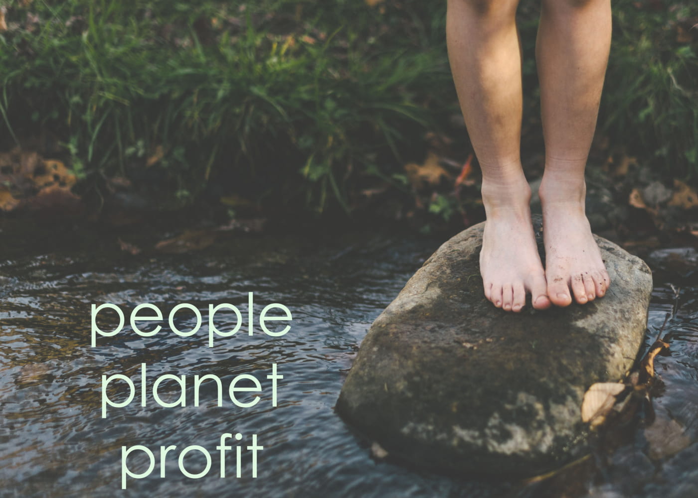 Impact - People Planet Profit